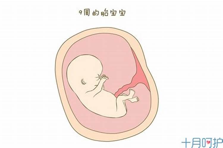 怀孕40天堕胎有报应吗