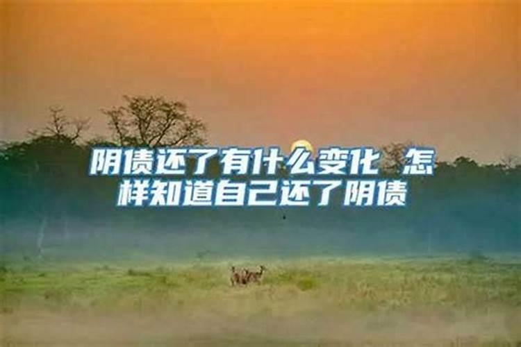 冬天哪些城市暖和