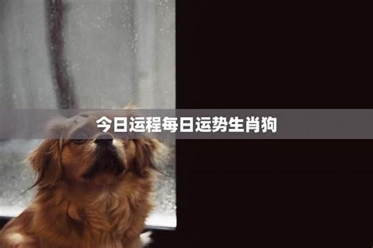 属狗人最旺的日子是什么