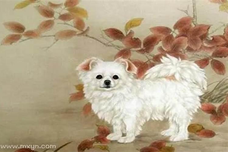 属狗的今天打麻将运气如何 属狗的今天运势和运程？