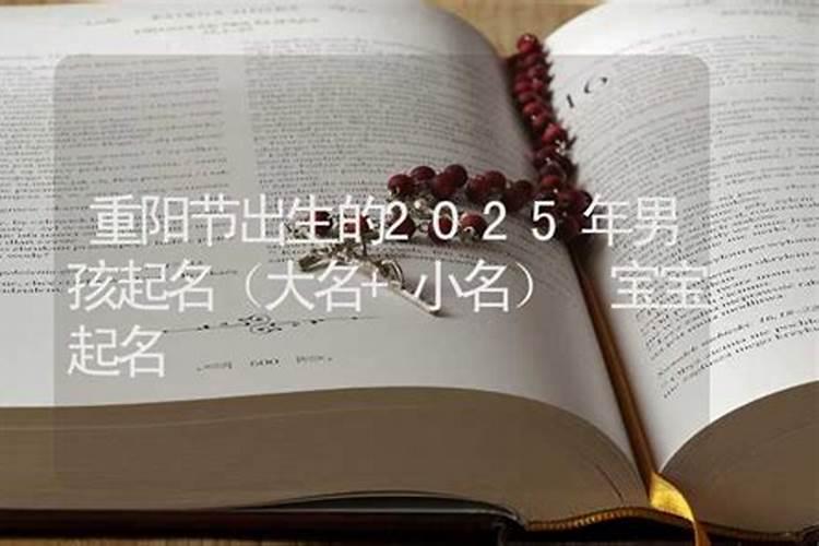 语文手抄报我学会了做饭内容