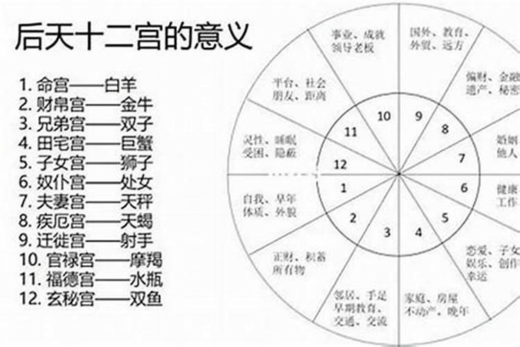 怎么看自己的命宫主星