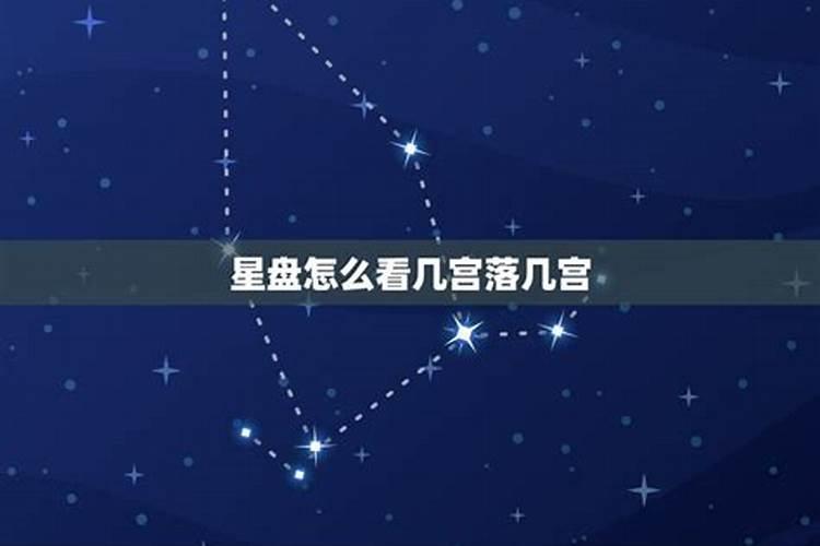 2008年属鼠2025年运势及运程