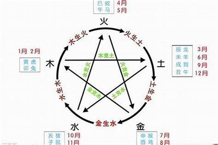 2025年最厉害三个生肖