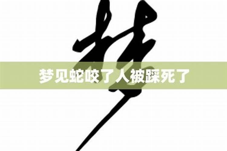 梦见小蛇被别人踩死了的预兆