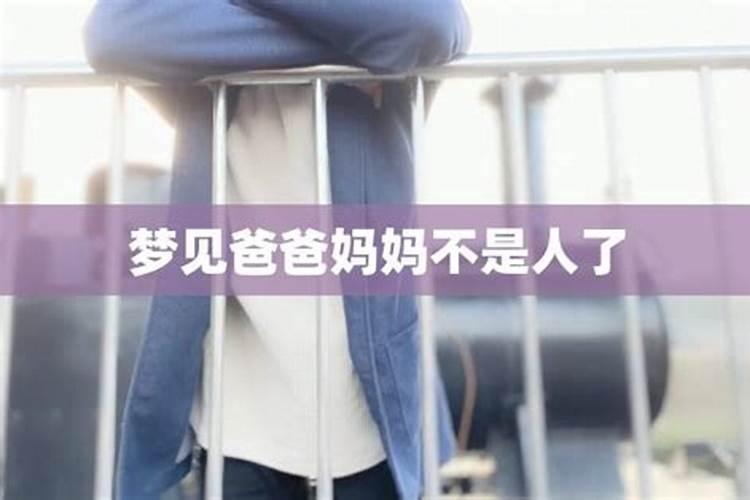 梦见爸爸妈妈去世了的预兆