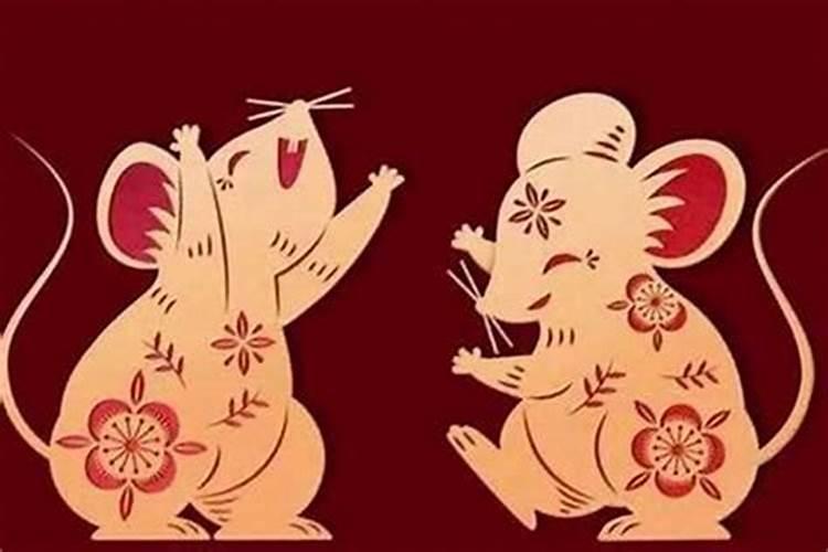 1996年腊月初四出身的女生算命