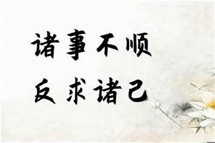 1987年兔2025年运势