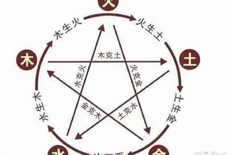 在风水学上宠物养什么好？