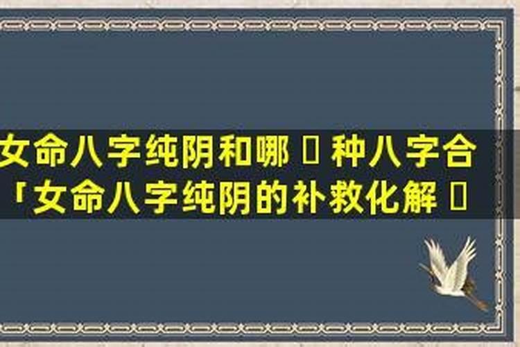 八字纯阴的女人命运好不好