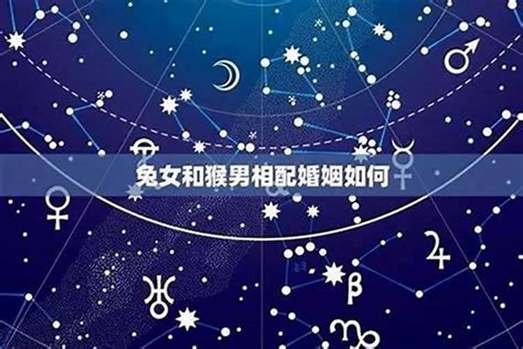 属鼠和属狗的相冲吗 鼠狗适合相恋吗？