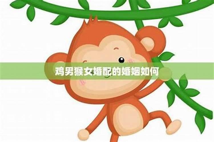 1992年属猴男和1993年属鸡女配吗 比较般配可结婚
