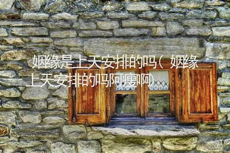 最具领导潜质的5个生肖,是你吗