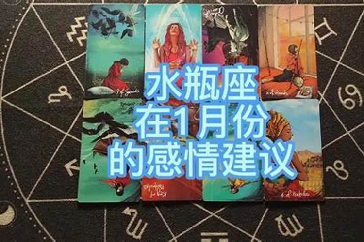 属虎2025年犯太岁吗