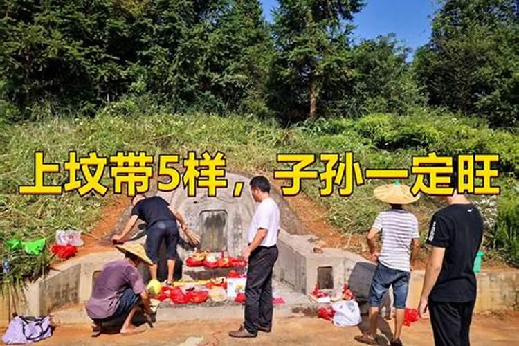 啥叫犯太岁是什么意思