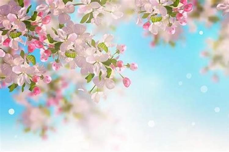 梦见老板请客