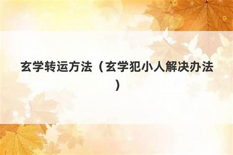 我是1995年2月2日的属什么