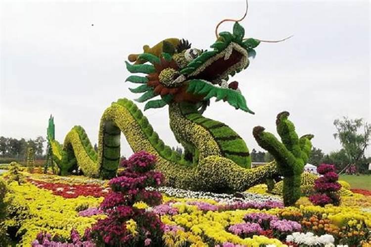 重阳节赏菊花寓意