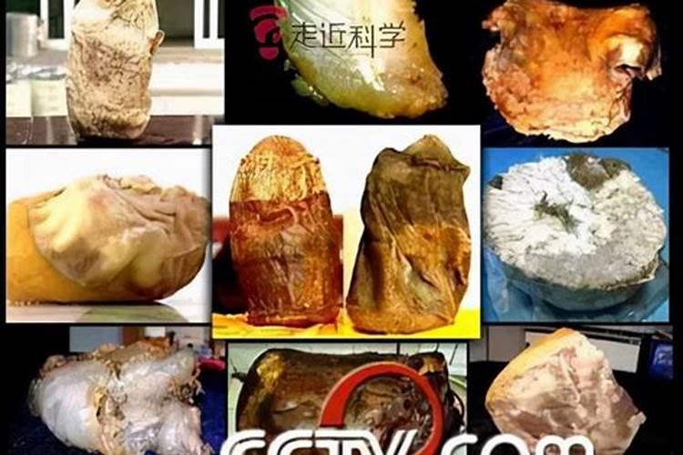 化解太岁最简单的方法(女士犯太岁佩戴什么好)