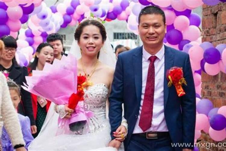 寿命最长的动物是什么生肖？