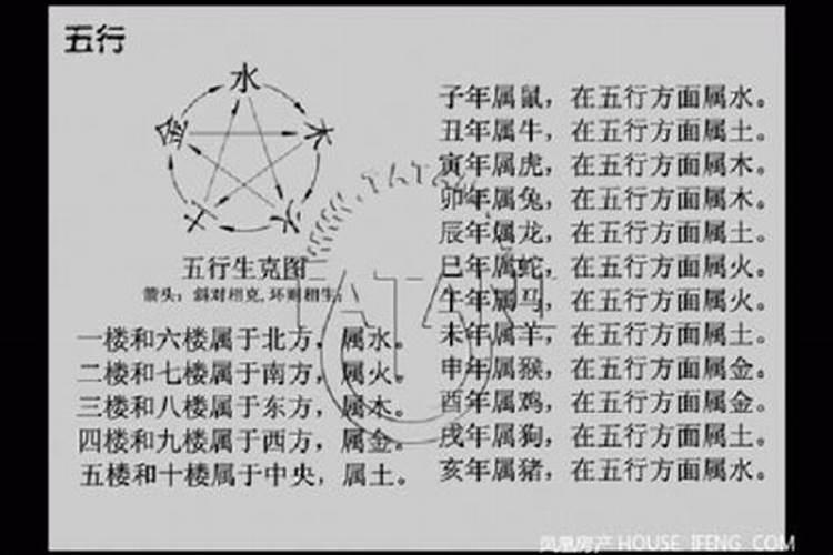 女人梦到黑色的龙