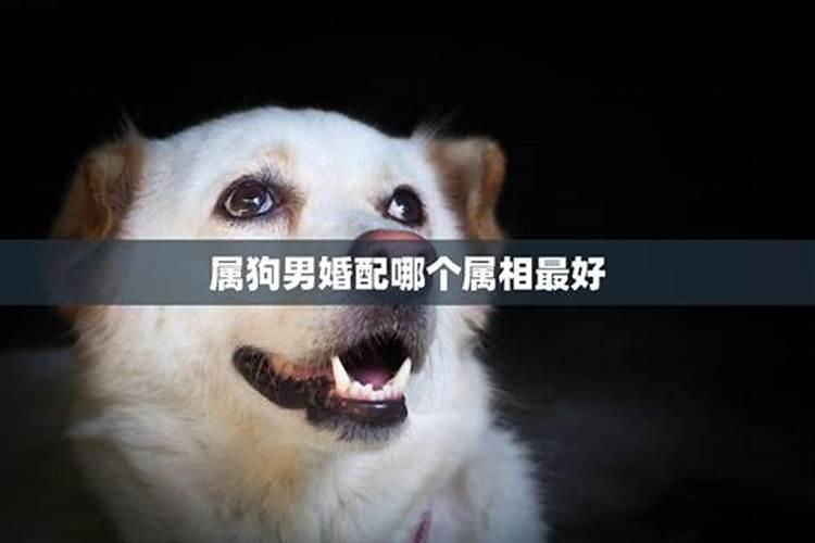 为女儿求姻缘念什么经