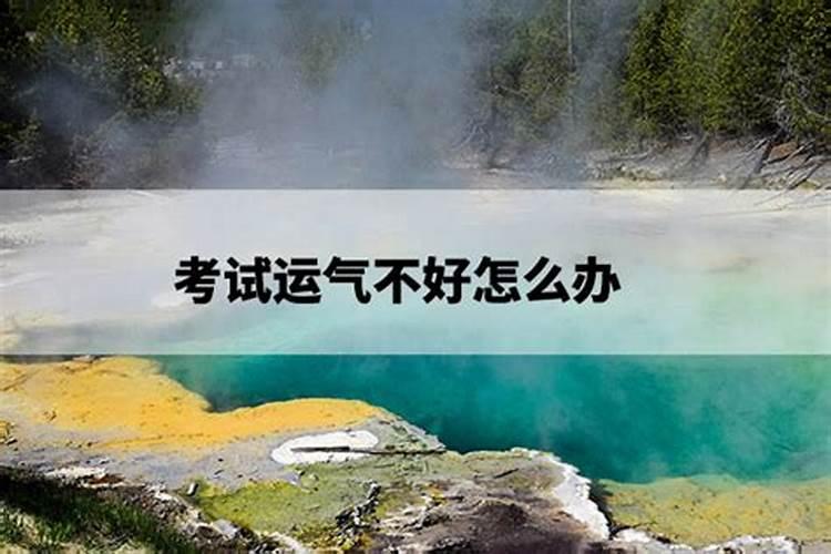 月属什么生肖每个月份的属相是什么