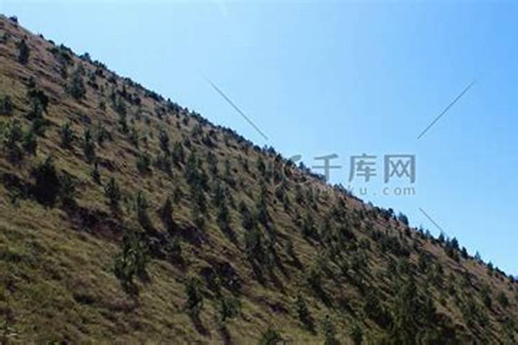 八字看什么样的人最聪明