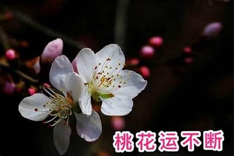 得理不饶人,婚姻注定不顺的生肖女有哪些？