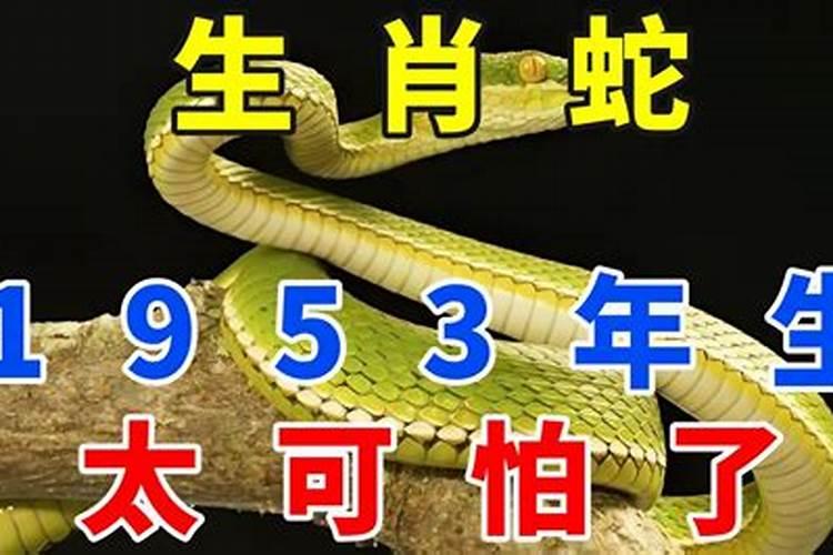 2025蛇宝宝最忌几月出生