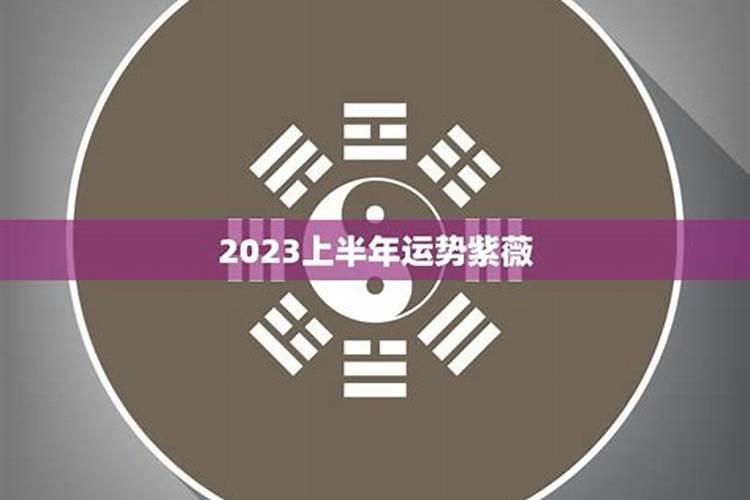 属猪的运气不好怎么化解