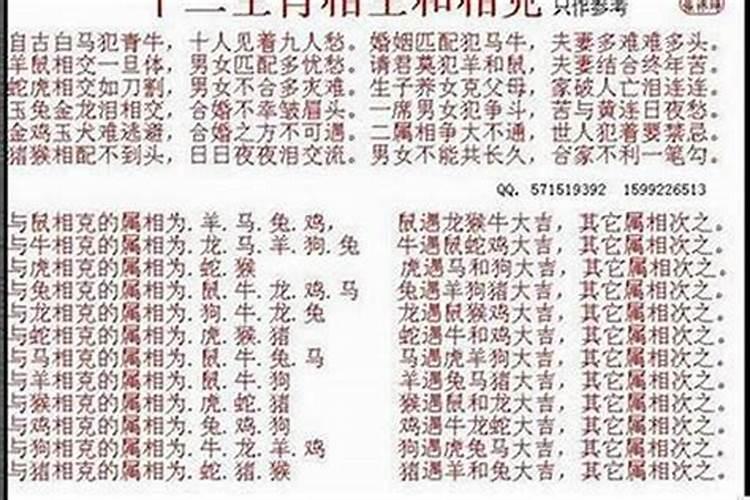 请老师帮忙解惑,女狗和男龙是否能白头偕老