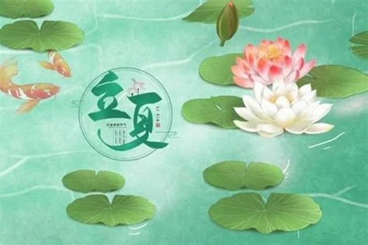 男牛女猴属于上等婚姻