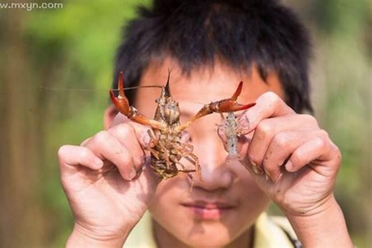 梦见钓龙虾的含义有哪些呢 梦到钓龙虾什么意思