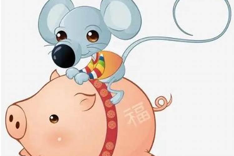 老鼠和猪属相合不合 老鼠和猪属婚姻相配吗