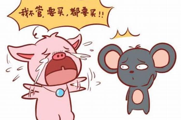 60年鼠和59猪婚配不合能破解吗