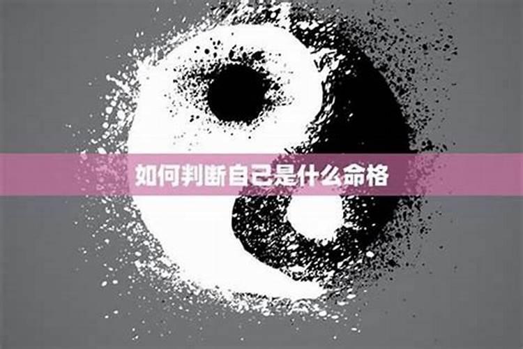 属虎女和属猪男的婚姻配吗