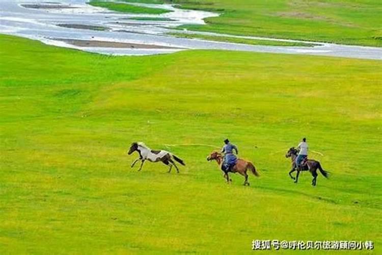 梦见我被狗咬一口的预兆