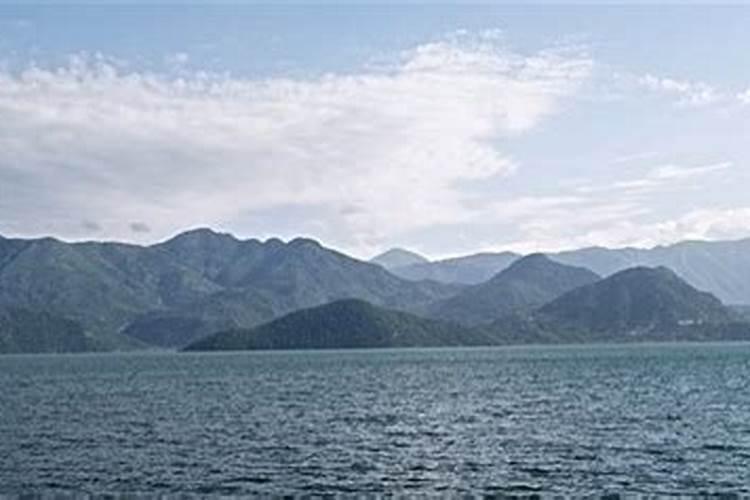 石榴木命是什么意思