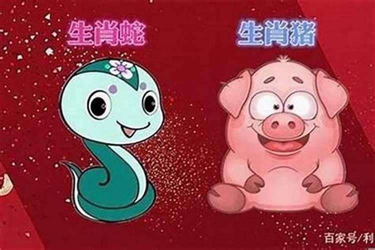 本命年做什么最旺