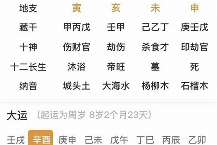 2025年各日柱运程