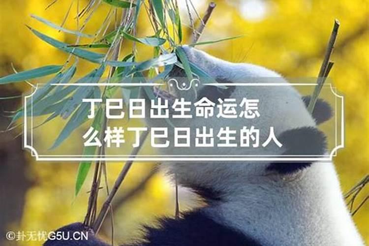 丁巳生人为什么老年不能高寿,有没有高人指点能改变命运,望高人指点改...