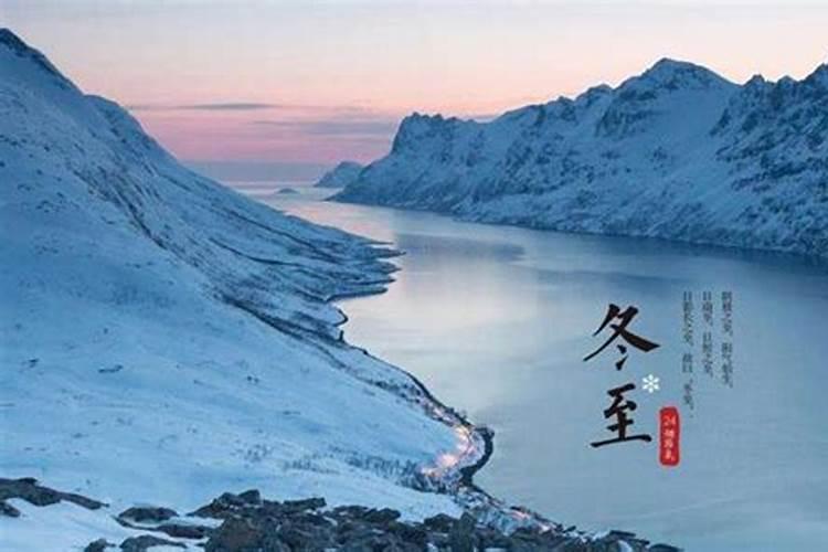 1979年农历10月19日9点多出生,请大师为我算一下命运。