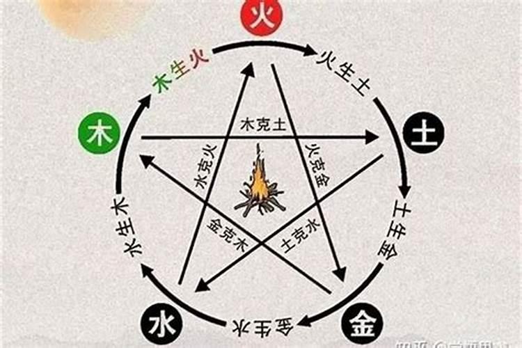2005年属鸡男士(20岁)2025年运势分析,逐月带你掌握未来