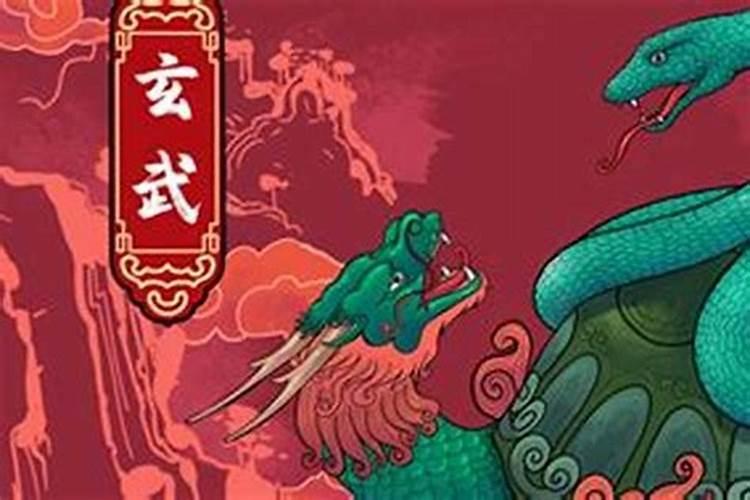 属蛇人2025年全年运势运程