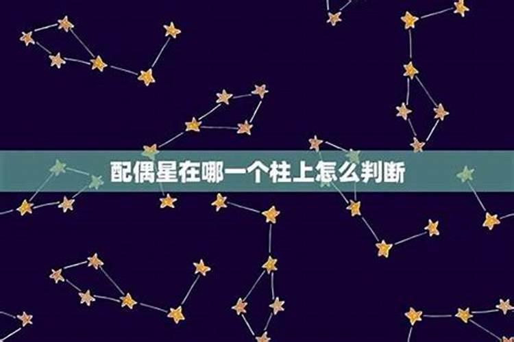 夫星一藏一透什么意思