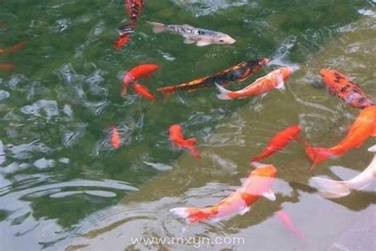 怎么查自己有没有财库