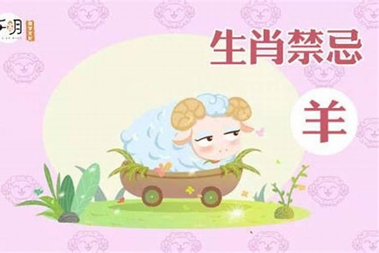 91女羊93男鸡属相配吗,91年属羊的男的和93年属鸡的配吗