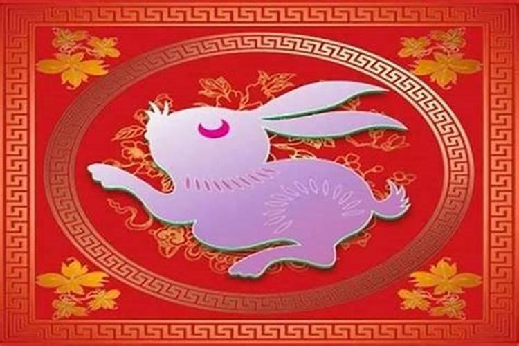 属兔年龄表 今年运气如何？
