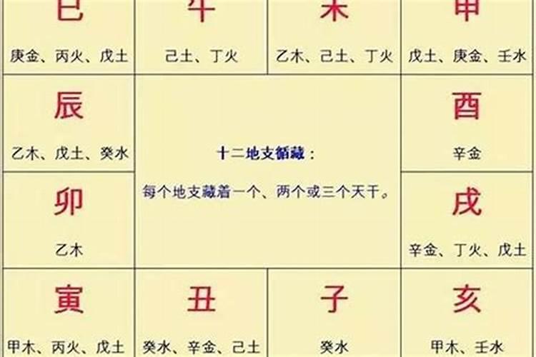 属羊女属猴男合不合